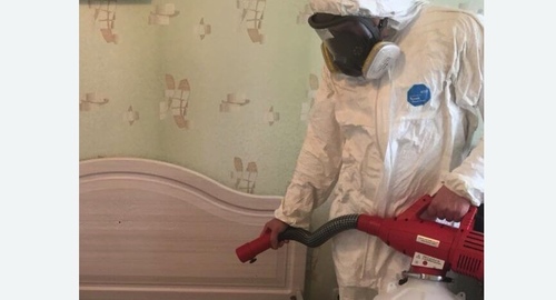 Уничтожение клещей в квартире. Серпухов