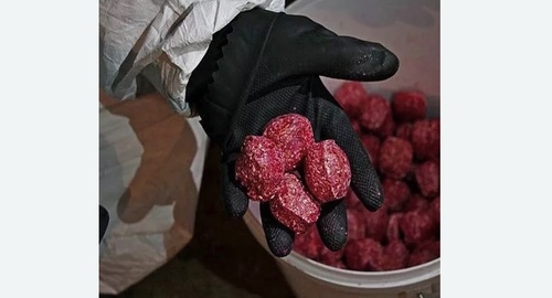 Травля крыс. Серпухов